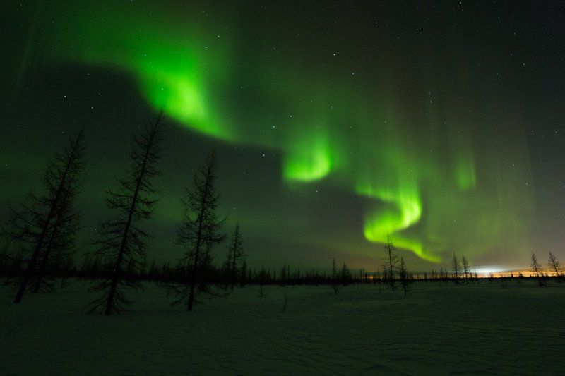 Огни ночной лесотундрыphoto preview