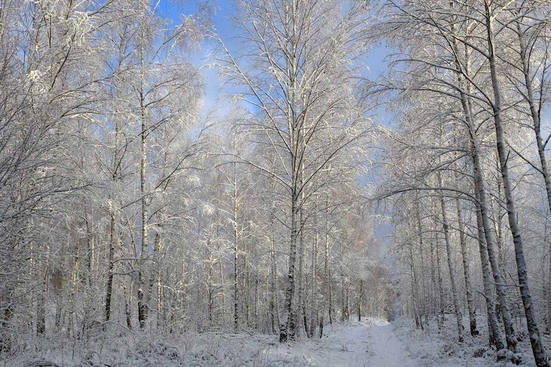 Второй день Рождестваphoto preview