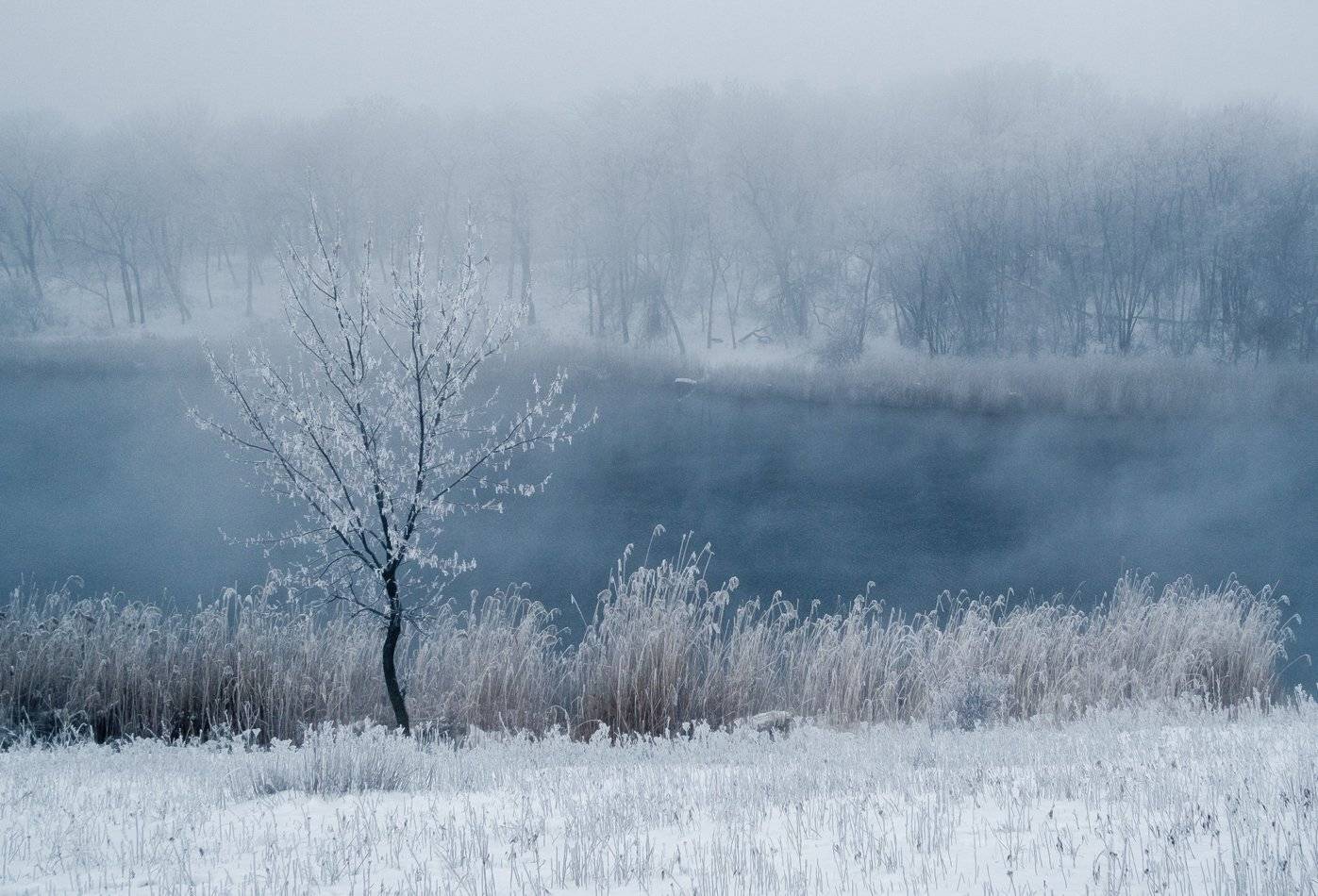 Зима.... Автор: Игорь Мелекесцев , Игорь Мелекесцев