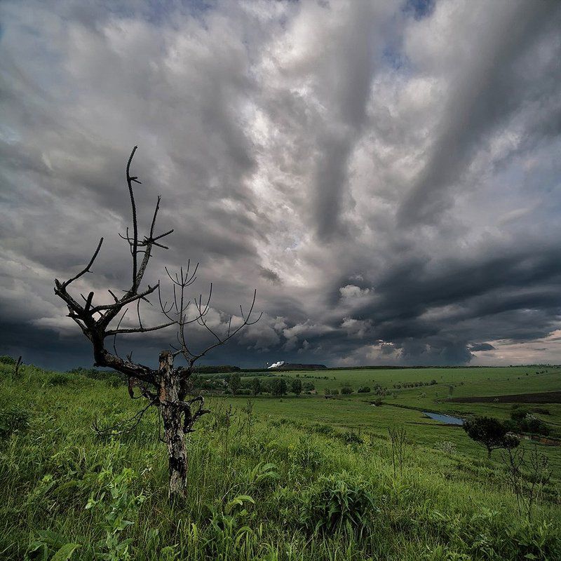 Сейчас заплачут облака...photo preview