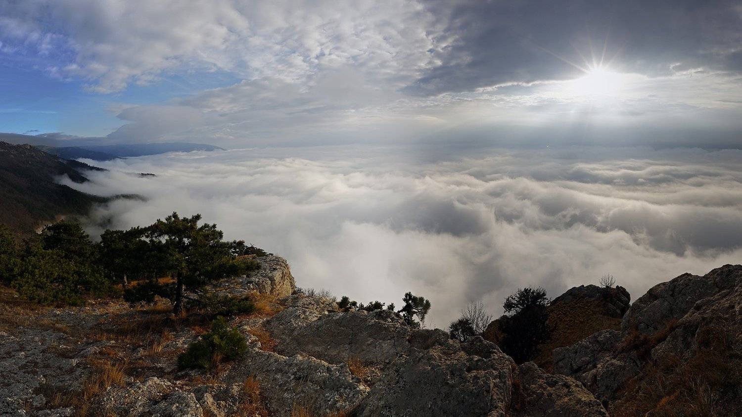 , Сергей Шульга