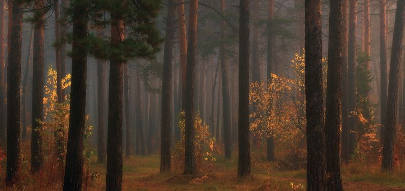 Игра в прятки фото превью