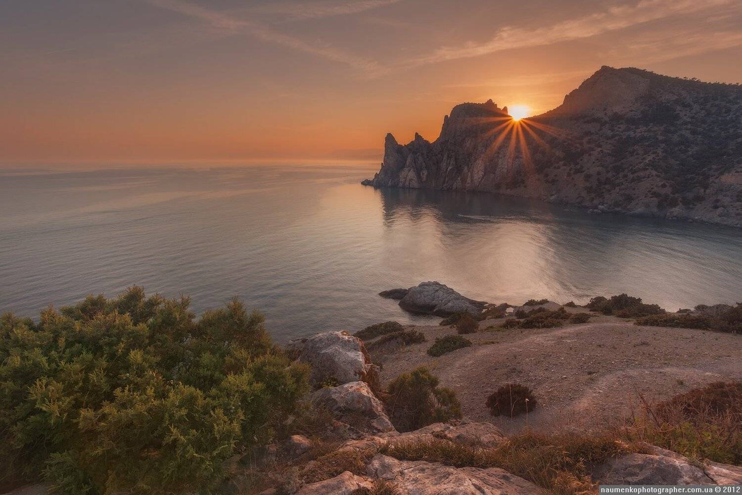 , Александр Науменко