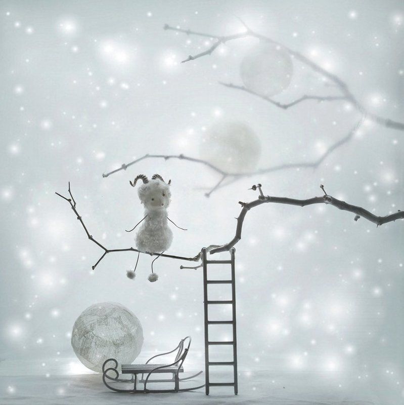 Год Овцы, Настроение, Натюрморт, Новый год Невозможное - возможно?...)photo preview