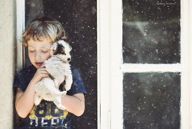 The future belongs to those, who believe in the beauty of their dreams. (Eleanor Roosevelt)photo preview