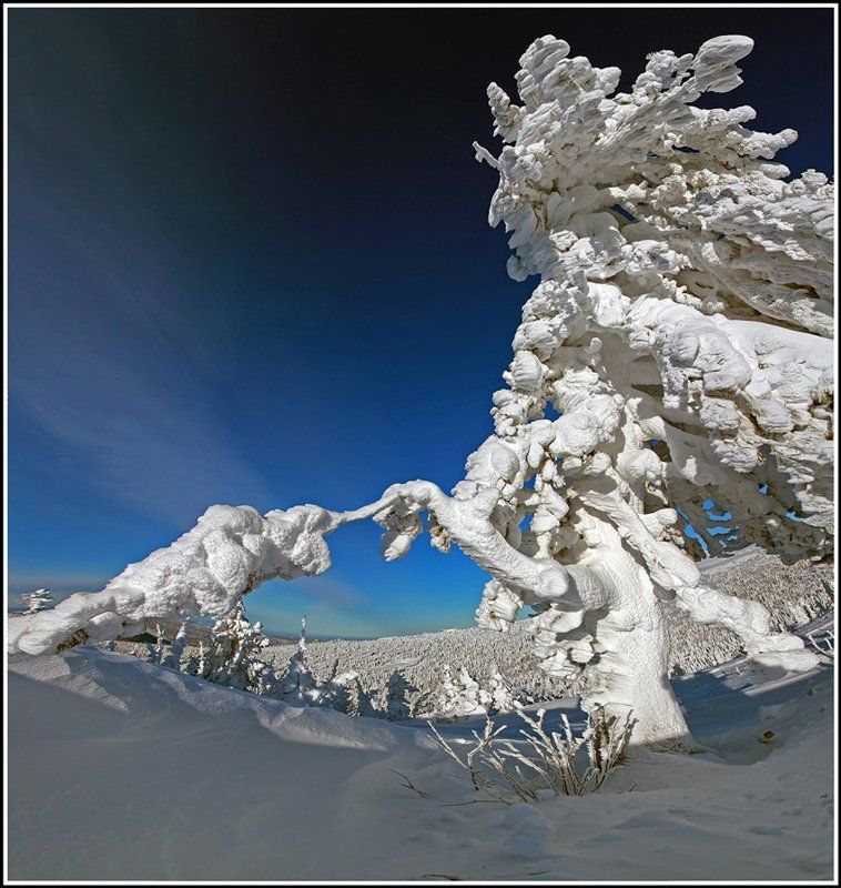 И вот , она нарядная...photo preview