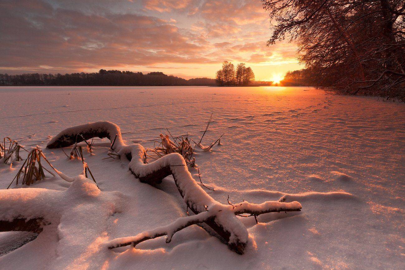 , Łukasz Sok&oacute;ł