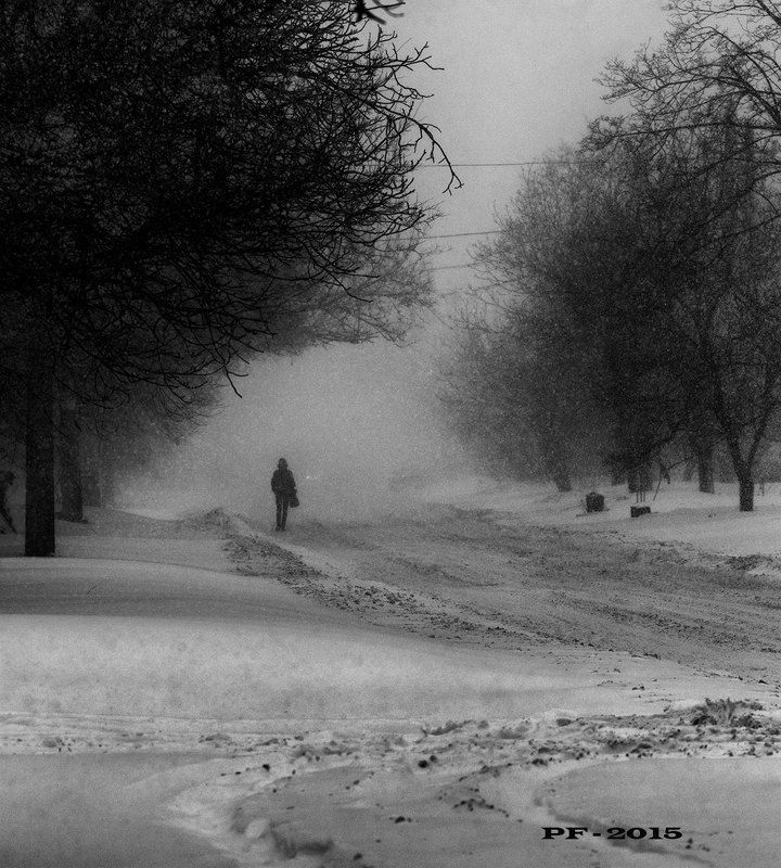 PF - 2015 фото превью