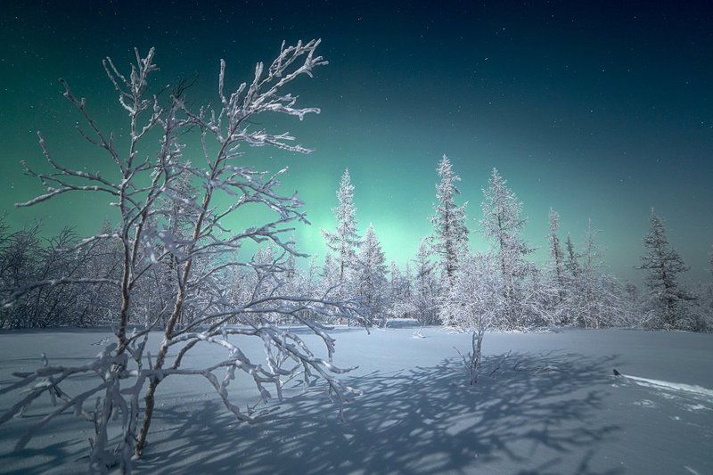 Aurora borealis, Зима, Ночь, Холодно Цвета ночиphoto preview