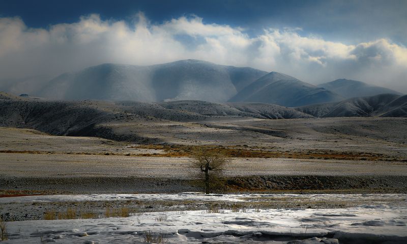 Central Asia region, Chui Steppe, Morning, Mountain pass, Russland, Siberia, Zentralasien, Горный алтай, Горы, Дерево, Облака, Пустыня, Сибирь, Снег, Солнечно, Утро в горах, Чуйская степь Прощай деревоphoto preview