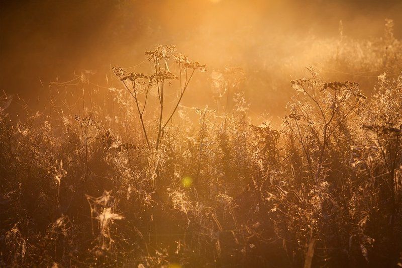 Утромphoto preview