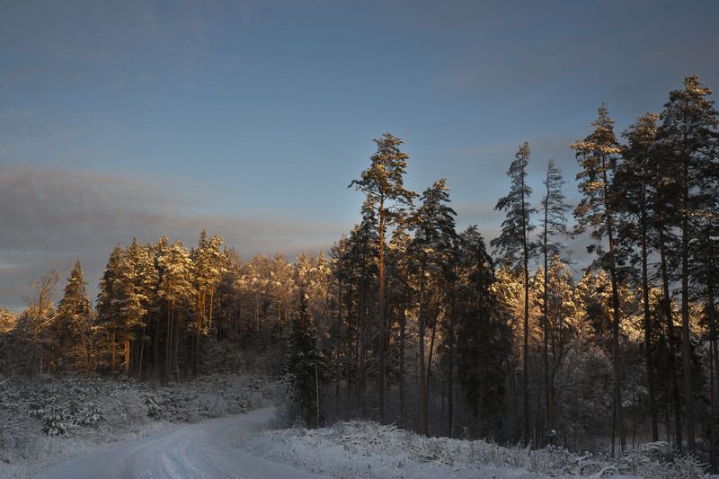 Первые лучиphoto preview