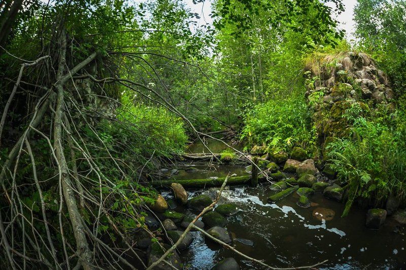 Мост, Природа, Развалины, Ручей Разрушенный мостphoto preview