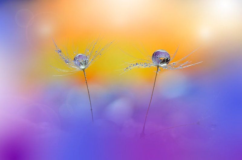 Two Worlds...photo preview