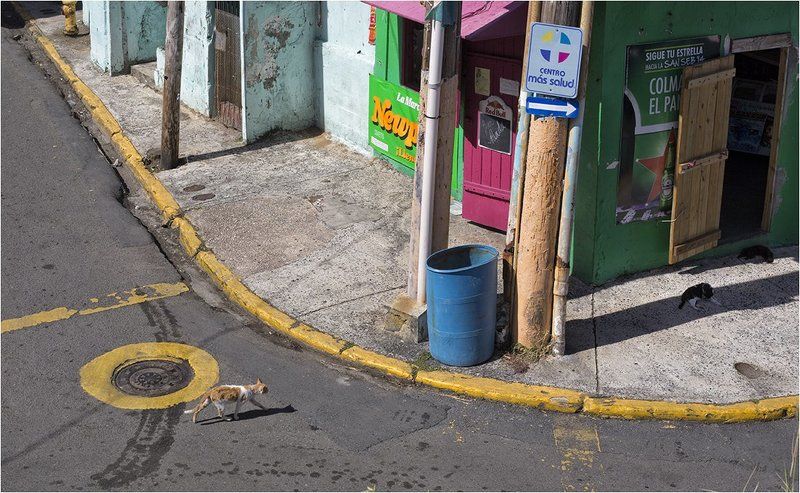 Perla, San Juan Время сиестыphoto preview