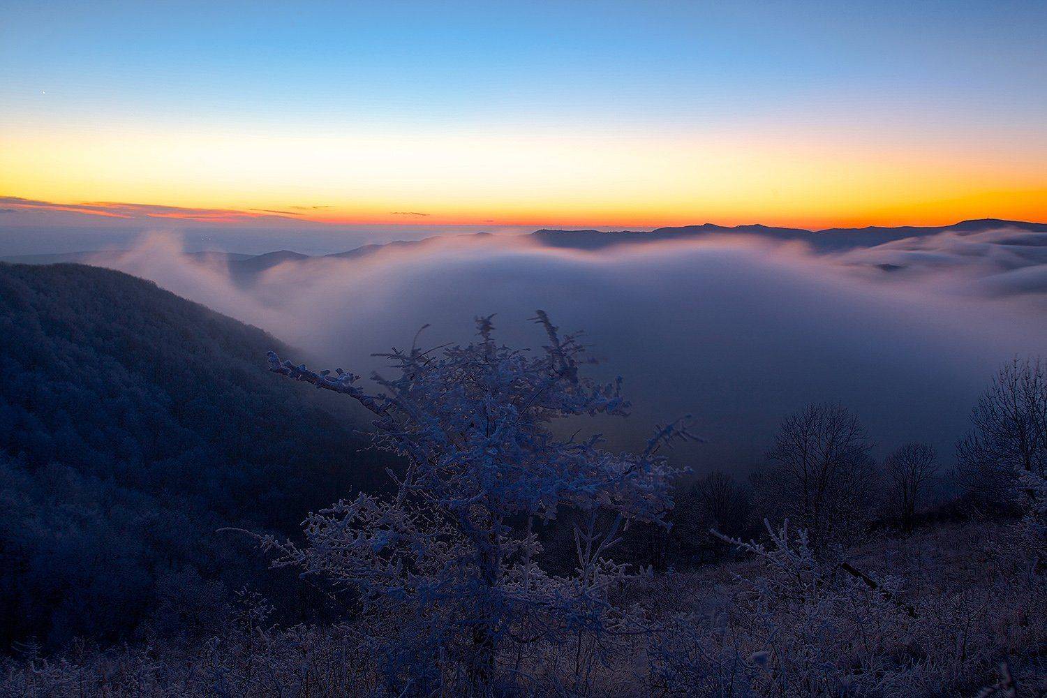 , Никифоров Егор