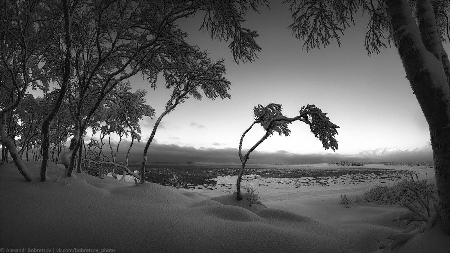 ***. Автор: Александр Бобрецов , Александр Бобрецов