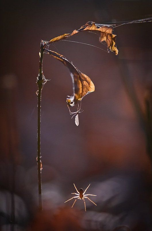 Опасная близость.photo preview