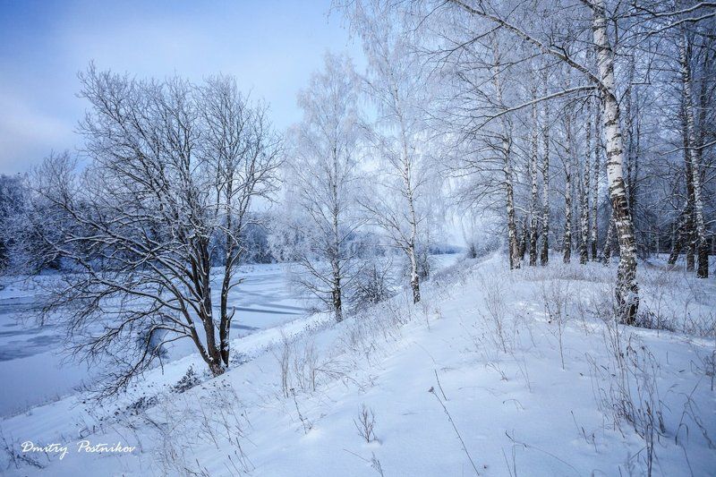 Зима, Канал имени Москвы, Пейзаж, Природа Ванильно-кремовый декабрь.photo preview