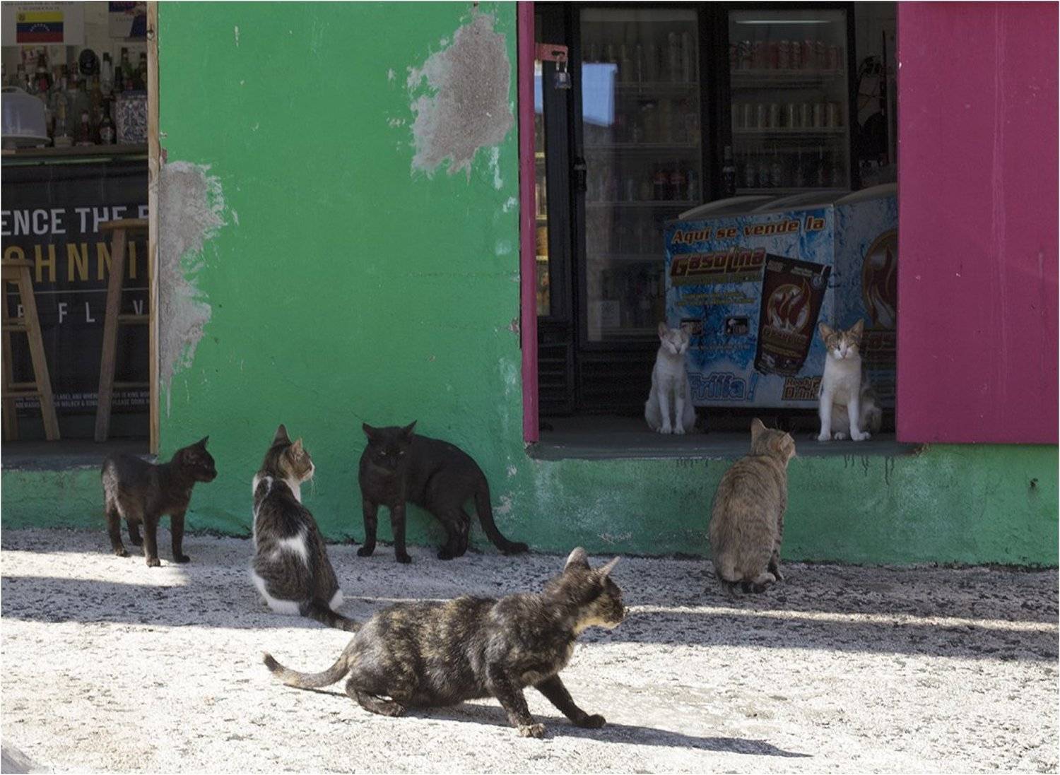 Банда. Автор: Boris Zhitomirsky Puerto Rico, Boris Zhitomirsky