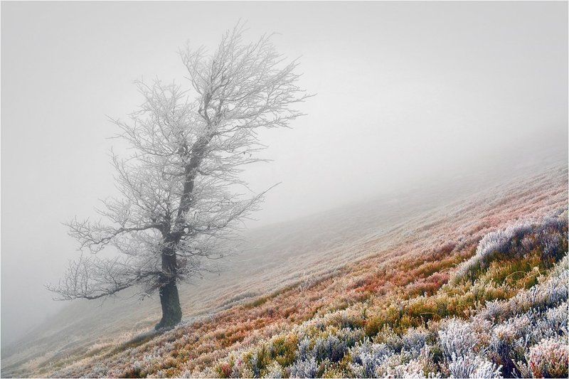 В горах фото превью