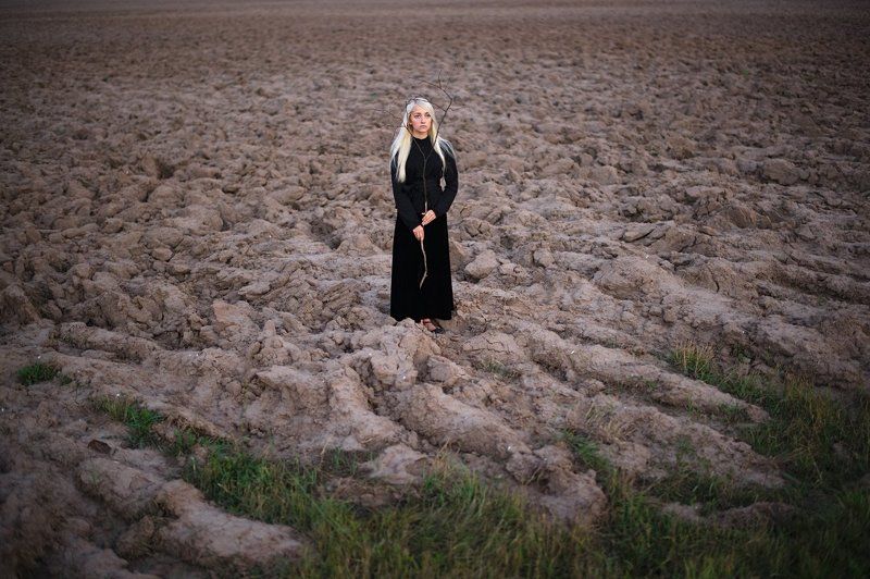 Дерево песен (I)photo preview