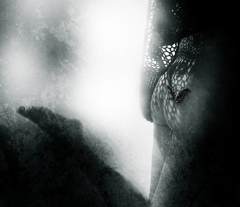 Butterflyphoto preview