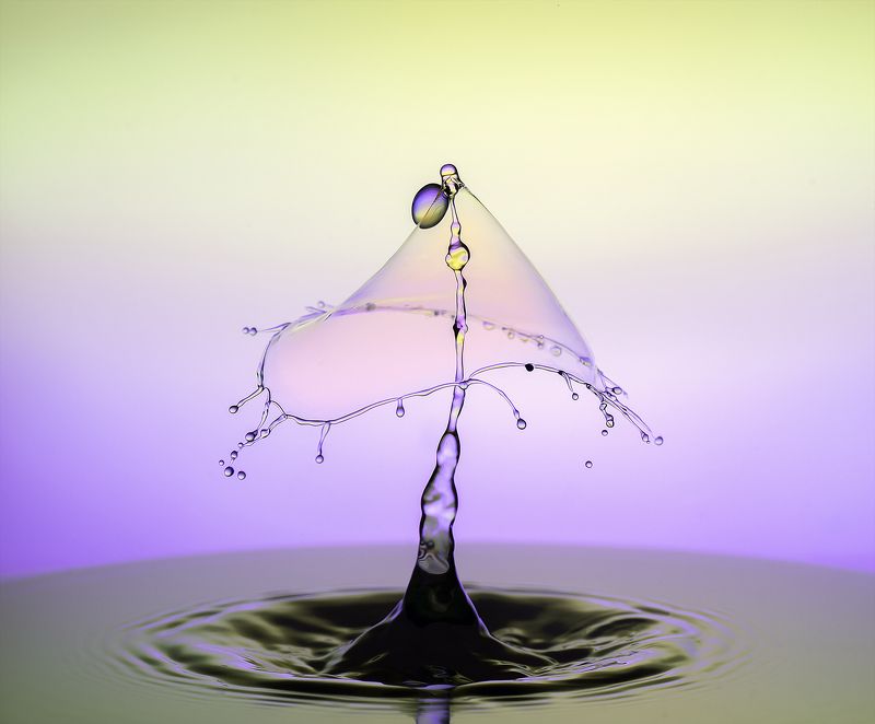 WATER,LIQUID,ABSTRACT,BLUE,LIQUID ART,DROPS,MACRO,SPLASH PHOTO,SPLASH,SPLASHING,STILL LIFE,DROP,DROPLET,DROPLETS,WATER DROP,WATER DROPS,RIPPLE,RIPPLES,CLOSE UP,CLOSE-UP Dancing Dropsphoto preview