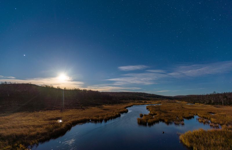 ...духи ночных болотphoto preview