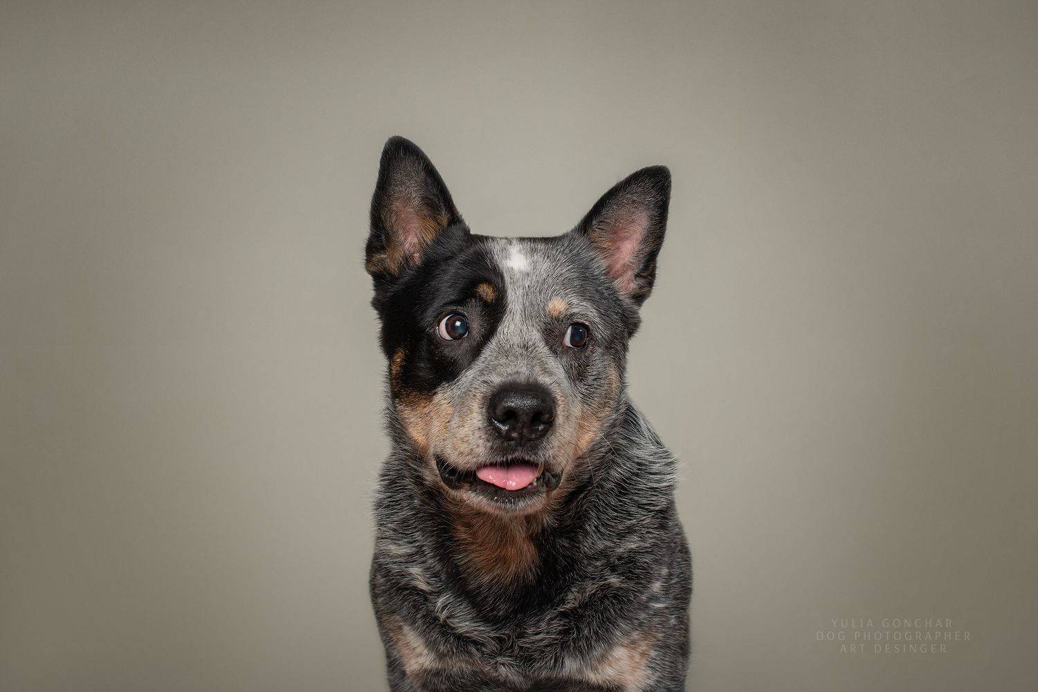 , Юлия Гончар