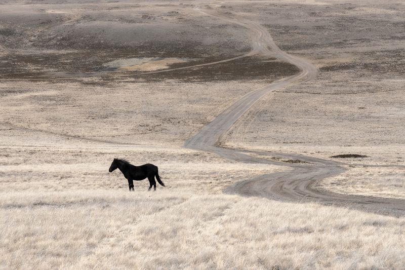 Алтай В ожидании Ильи Муромцаphoto preview