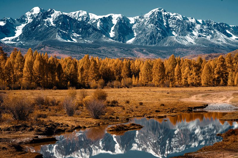 Золото Алтаяphoto preview