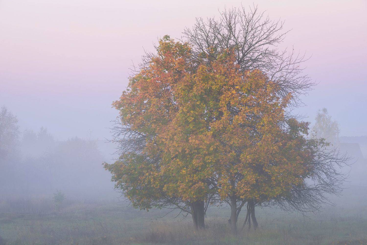 , Захаров Дмитрий