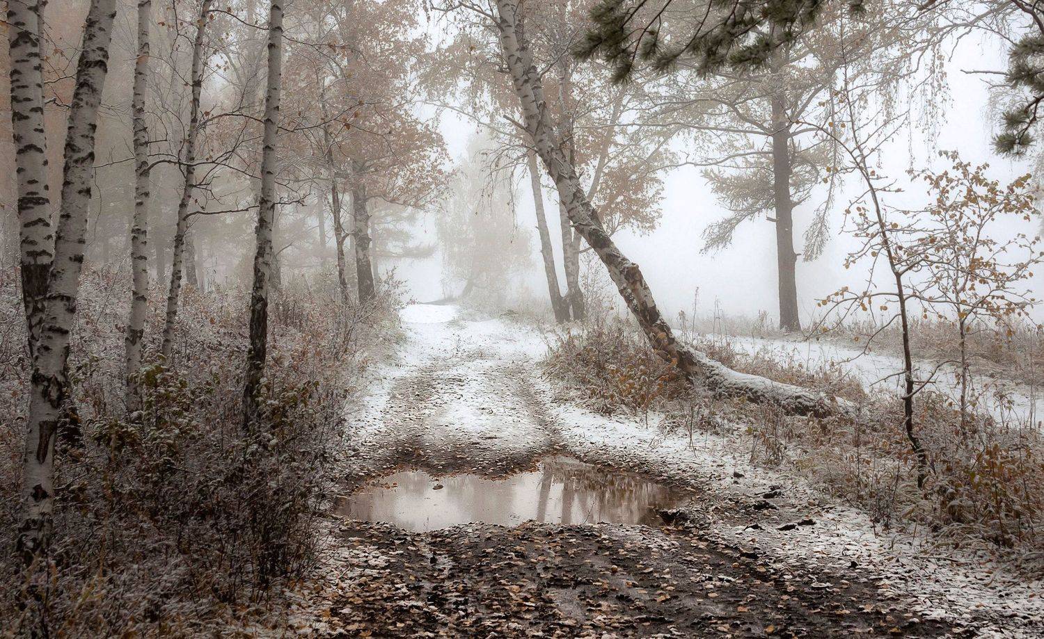 Снежный октябрь. Автор: Марина Фомина октябрь, торгашинский хребет, осень, снег, лужи, Марина Фомина