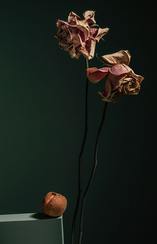 лю, алиса Лю Алиса Фотопроект Времяphoto preview