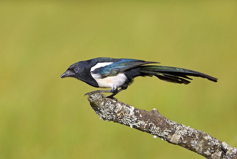 На старт!photo preview