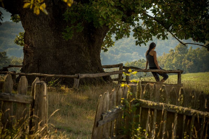 the heart of Strange Mountainphoto preview
