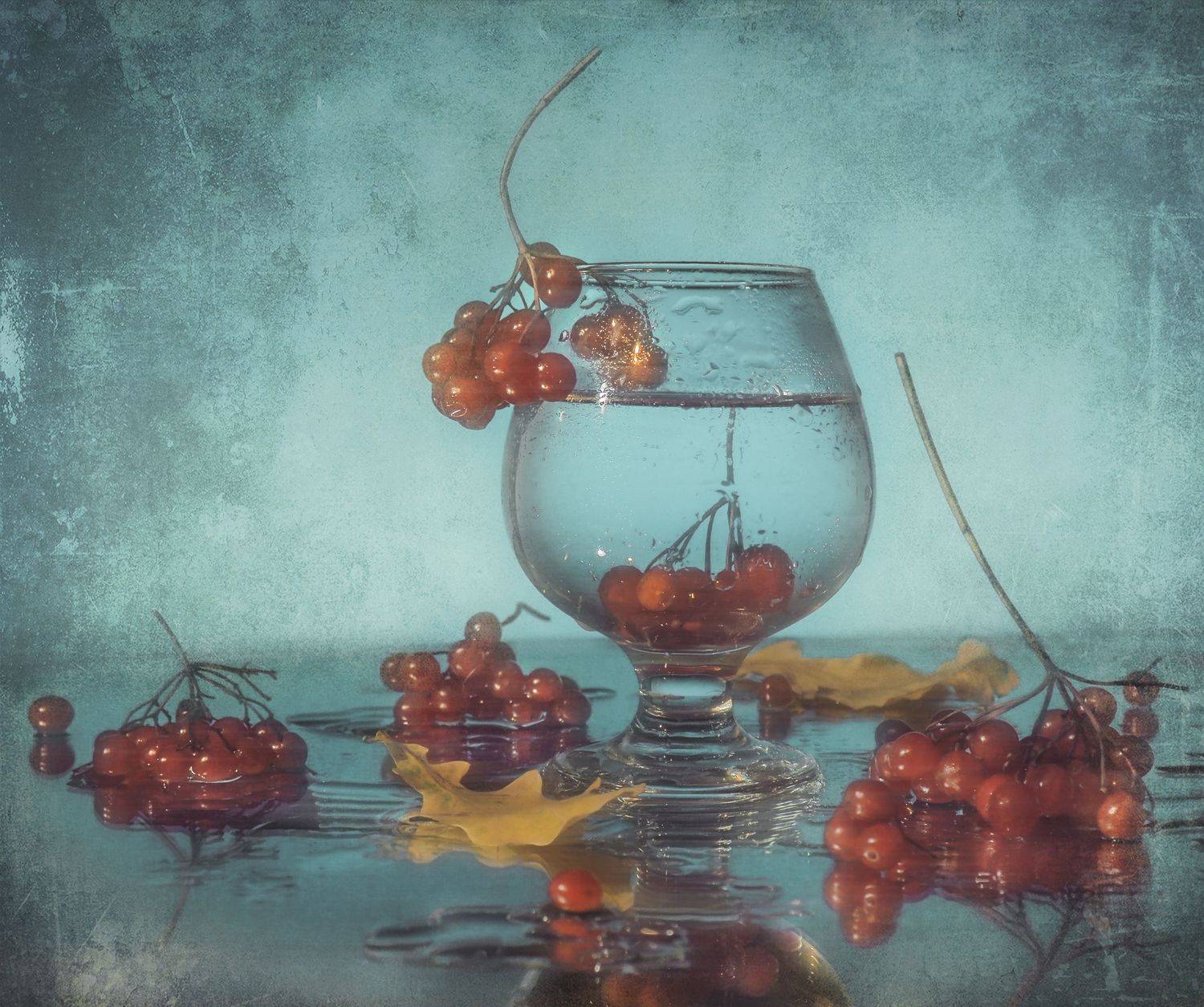 Прохладное время. Автор: Володин Владимир Владимирович прохлада,время,калина,осень,красная,гроздь,бокал,дождь,капли, Володин Владимир Владимирович