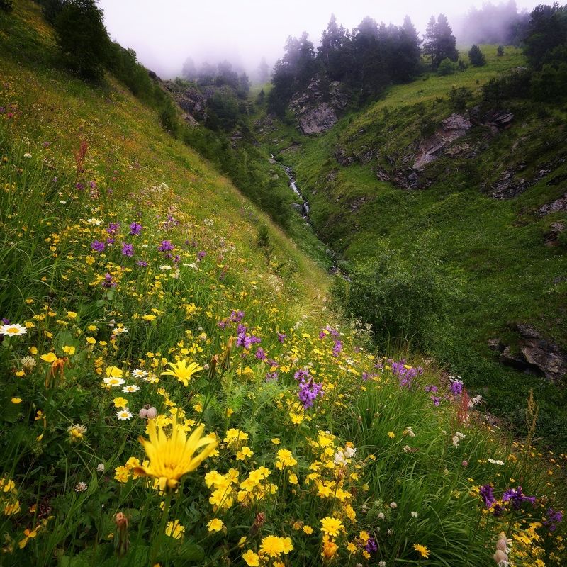 архыз баритовый перевал Подъем На Баритовый Перевал. Архыз. Карачаево-Черкесская Республика. фото превью