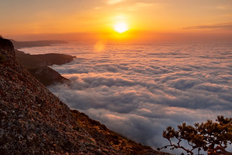 пейзаж, облака, природа, горы, Россия, Крым, Демерджи, природа России, nature, landscape, Russia, рассвет, восход, clouds, dawn,sunrise, над облаками Рассвет над мягким моремphoto preview