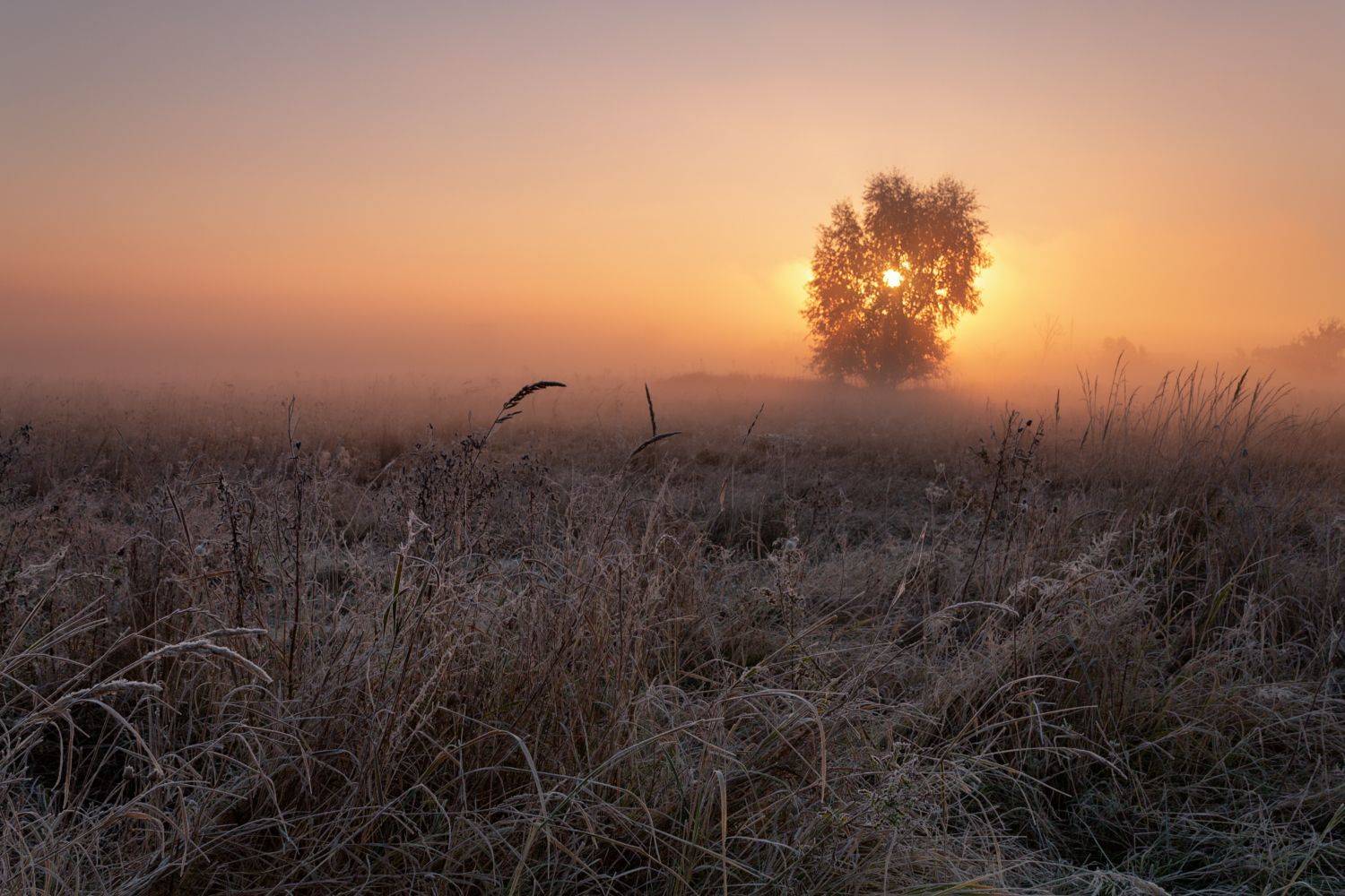 . . .. Автор: Taurtirith Photography , Taurtirith Photography