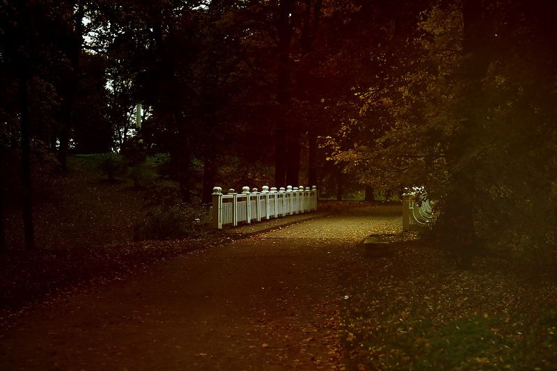 city, nature, autumn A wonderful placephoto preview