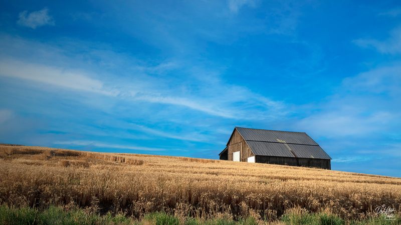 Palouse Barn, Washington. USAphoto preview