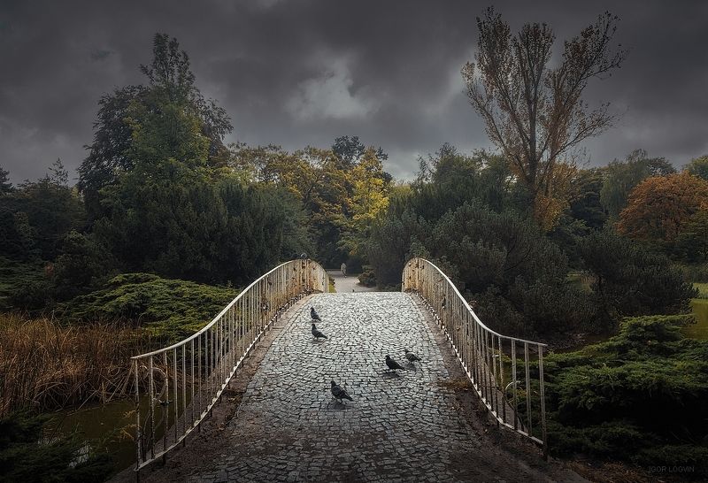 Парк Понятовскогоphoto preview