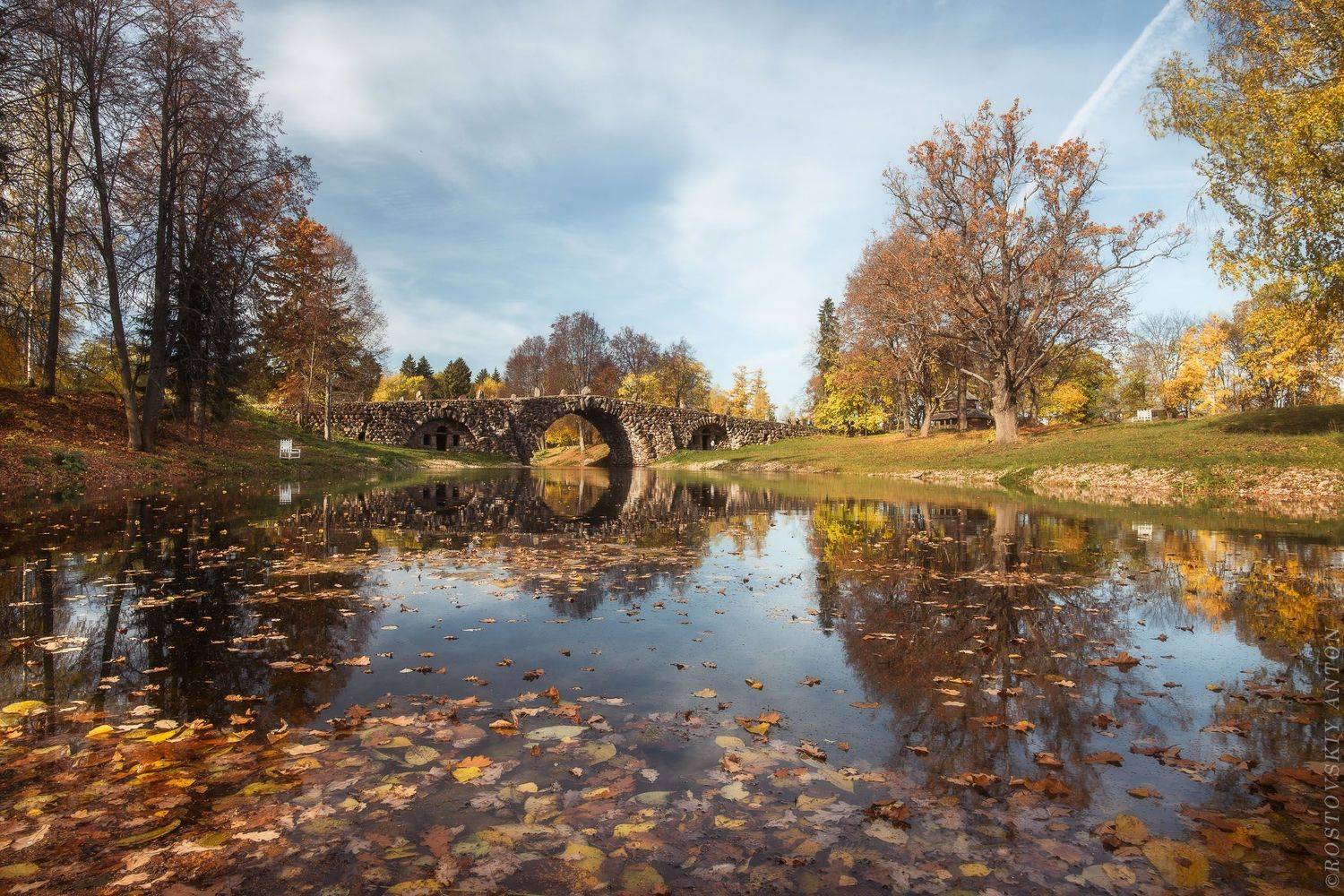 , Антон Ростовский