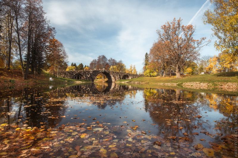 Осеньphoto preview