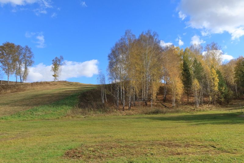 осень,природа,нсо,кольцово,деревья,пригорок,небо,облака На пригоркеphoto preview