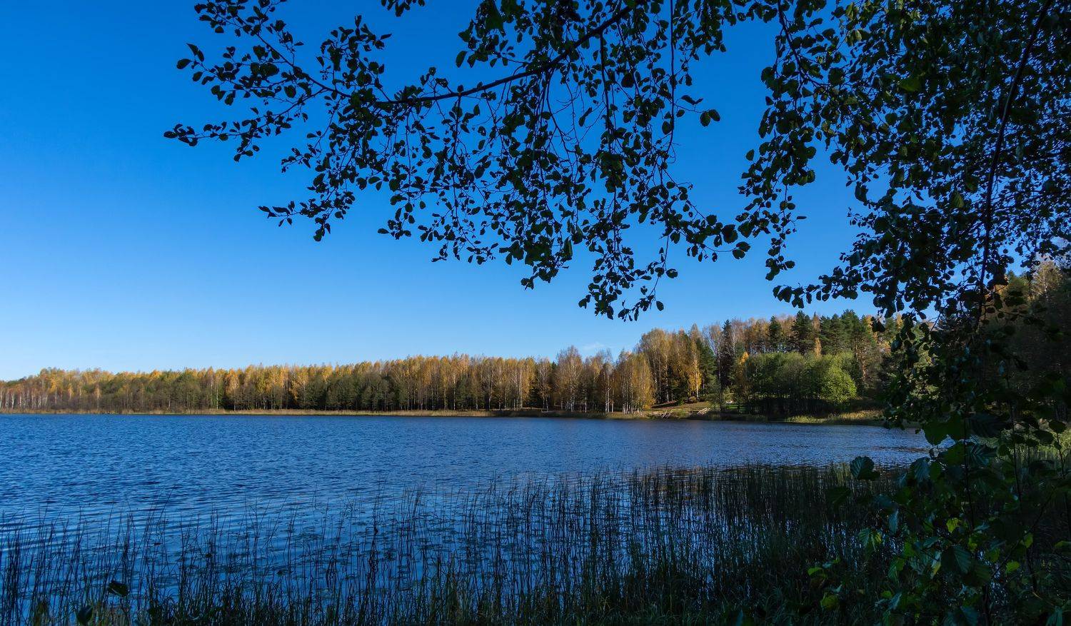 , Александр Земляной