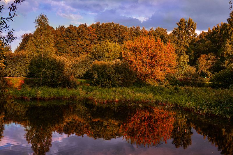 Краски осениphoto preview