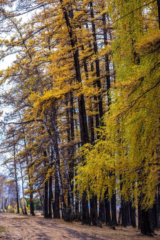 *******photo preview